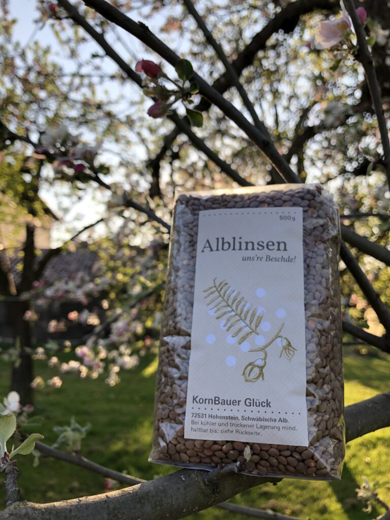 Alblinsen